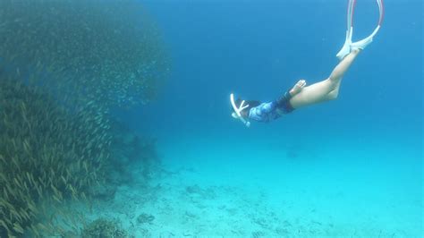 Island Snorkeling Experience | Plataran Komodo Resort & Spa