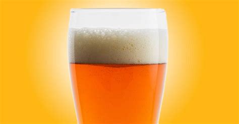 Recipe: You’re Not Irish Red Ale | Craft Beer & Brewing