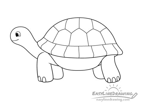 How to Draw a Tortoise Step by Step - EasyLineDrawing