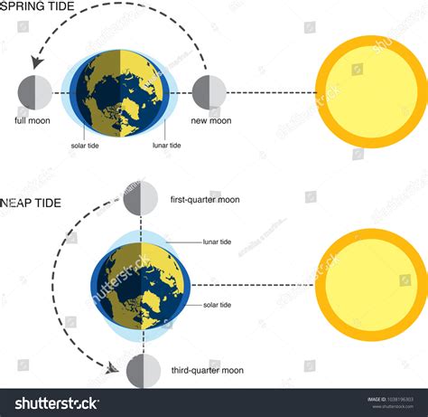 292 Neap Tide Images, Stock Photos, 3D objects, & Vectors | Shutterstock