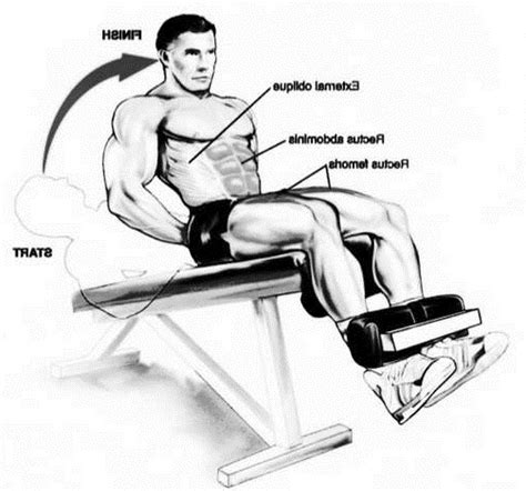 Decline Bench Sit-Ups • Bodybuilding Wizard