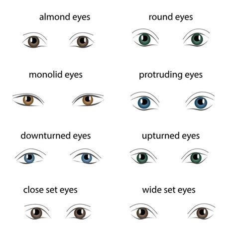 8 Different Types of Eye Shapes – Headcurve