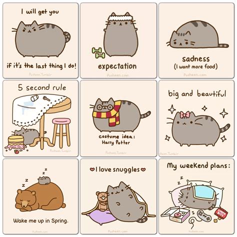 Pusheen Cat Desktop Wallpaper (59+ images)