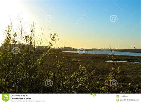 Sunset at Bolsa Chica Wetlands Stock Image - Image of nature, southern ...