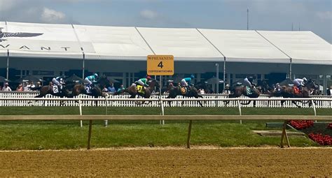 The Preakness Stakes: A Thrilling Horse Racing Tradition and Spectacle — Marcel Ardani