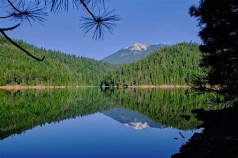 Trinity Lake Fishing: Catch More Bass, Trout and Salmon - Best Fishing in America