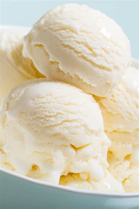 Sugar Free Frozen Yogurt {2 Ingredients} - The Big Man's World