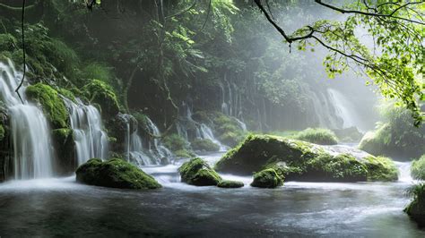 Waterfall Hd Forest Hd Nature 4k Wallpapers Images Backgrounds | Images and Photos finder