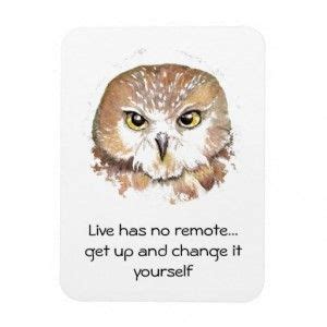 cute owl sayings funny 7 cute owl sayings funny 8 | Owl quotes, Funny quotes, Funny owls