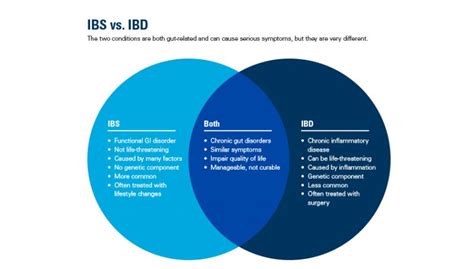 IBS vs. IBD- Know The Difference