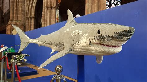 This Giant Lego Shark Made From 80,427 Lego Bricks. : r/mildlyinteresting