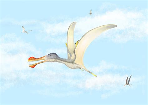 Three New Species of Flying Reptiles Discovered – Pterosaurs That Inhabited the Sahara 100 ...