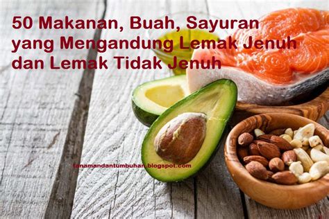 Contoh Lemak Jenuh Dan Tak Jenuh – Berbagai Contoh