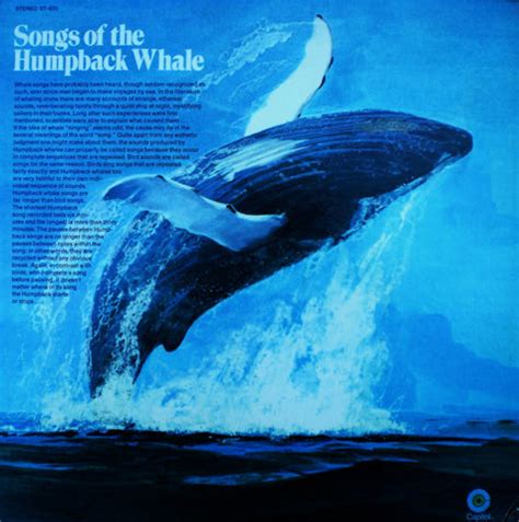 Songs of the Humpback Whale - Digital Download – Ocean Alliance