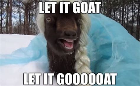 These Goat Memes Are the Greatest of All Time (25 Memes) | Funny goat ...