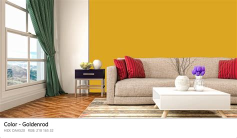 About Goldenrod - Color codes, similar colors and paints - colorxs.com