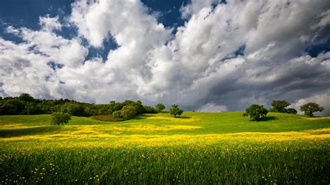 Lindo campo de grama verde sob azul e branco céu nublado durante o dia 4k natureza HD papel de ...