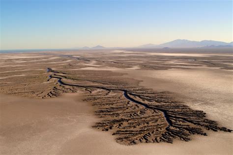 Il deserto che torna alla vita nel delta del Colorado | Foto 5 di 17 | Giornalettismo