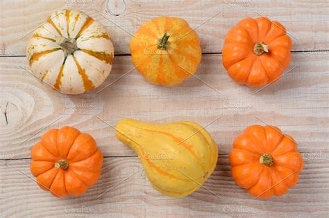 Gourds and Pumpkins High Angle | High-Quality Food Images ~ Creative Market