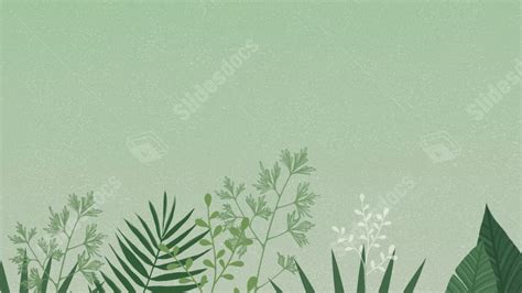 Simple Light Green White Plant Leaf Nature Powerpoint Background For Free Download - Slidesdocs