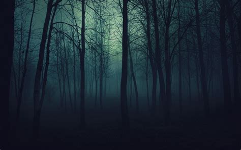 Dark Winter Forest Background Hd - Enjoy and share your favorite ...