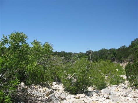 Edwards Plateau Riparian — Texas Parks & Wildlife Department