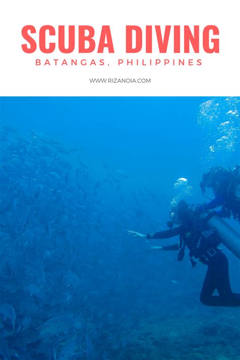 Best Scuba Diving Site in Batangas, Philippines | Dive resort, Best ...