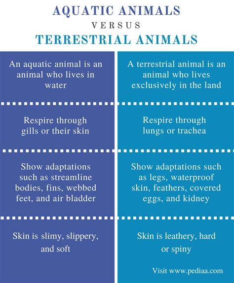 Difference Between Aquatic and Terrestrial Animals | Definition, Habitat, Adaptations, Features