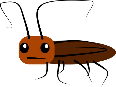 Collection of Cockroach clipart | Free download best Cockroach clipart ...