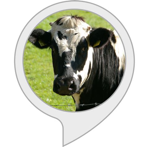 Amazon.in: Cow Sounds : Alexa Skills