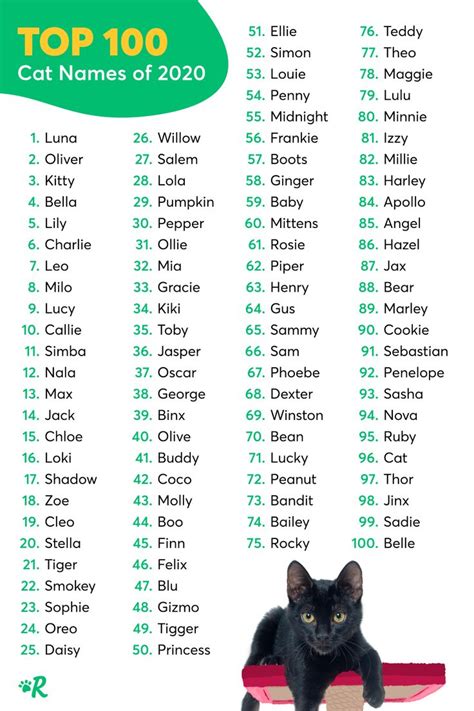 The Most Popular Cat Names in the USA | Boy cat names, Cat names, Girl cat names