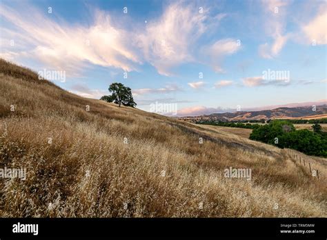 Mount Diablo State Park Stock Photo - Alamy