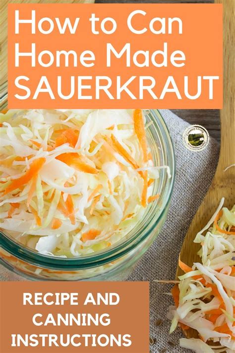 Canning homemade sauerkraut – Artofit