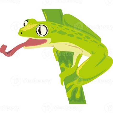 frog amphibian in branch icon 24600210 PNG