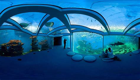 Palma Aquarium - The Wonders Of The Sea | We Are Mallorca