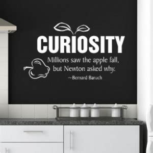 Quotes About Curiosity. QuotesGram