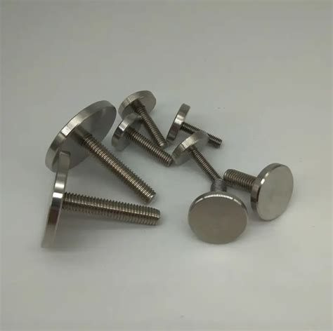 2pcs M10 Stainless Steel Mirror Hand Twist Screws Bolts Fixed Round Head Knob Advertising ...