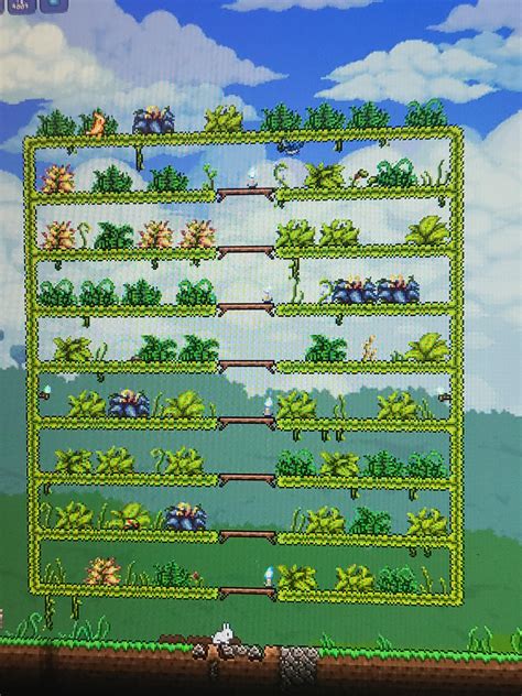 Mystic frog farm, is this good? : r/Terraria