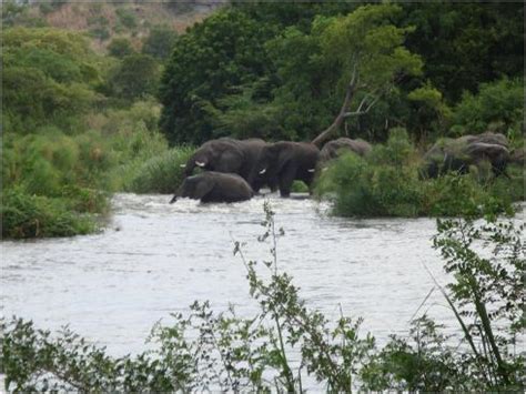 Nimule National Park