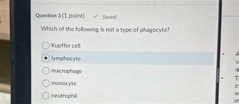 Question 3 1 point Saved Which of the | StudyX