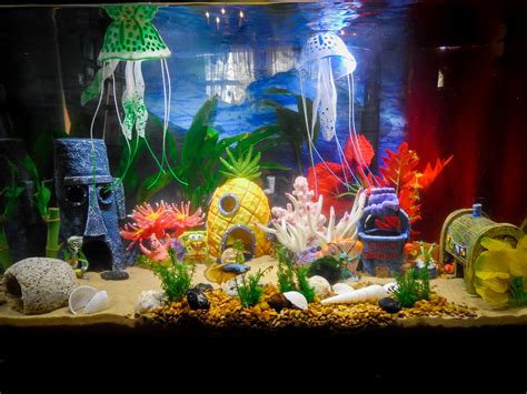 Cute idea for a Bikini Bottom / Spongebob themed aquarium. I love it! It's so fun, bright, and ...