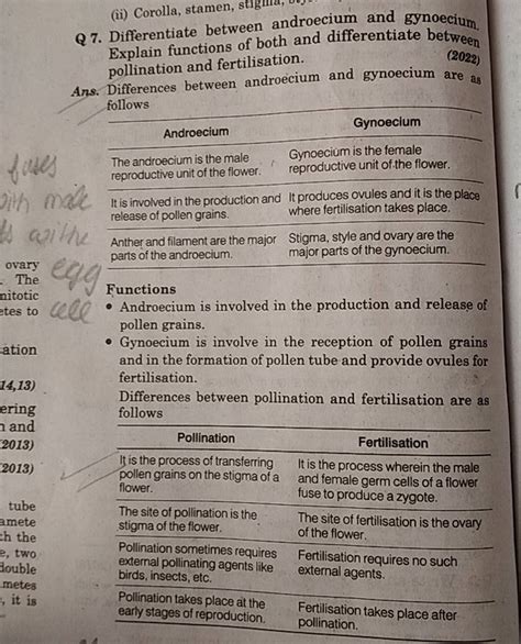 Q 7. Differentiate between androecium and gynoecium, Explain functions of..