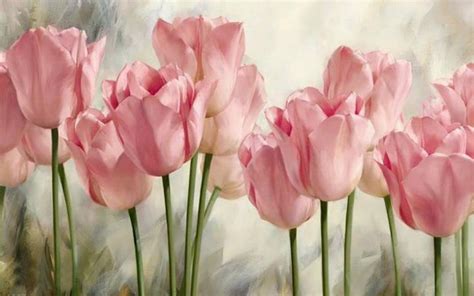 Soft pink tulips HD desktop wallpaper : Widescreen : High Definition : Fullscreen