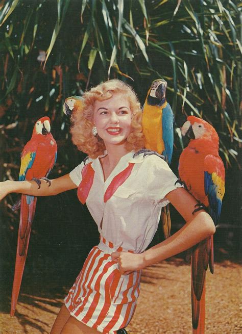 Vintage Travel Postcards: Parrot Jungle - Miami, Florida