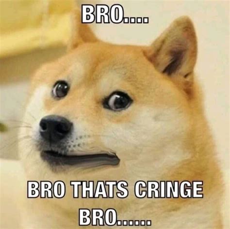 Bro thats cringe bro | Bro! You Just Posted Cringe! | Know Your Meme