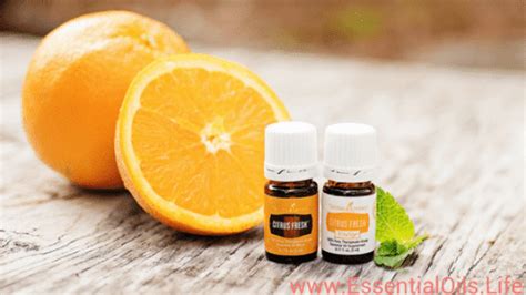 Citrus Fresh Essential Oil Blend • EssentialOils.Life