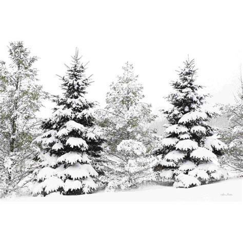 Loon Peak® Snowy Pine Trees On Canvas by Lori Deiter Print & Reviews | Wayfair