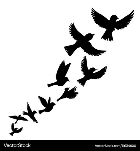 Flying birds silhouettes Royalty Free Vector Image