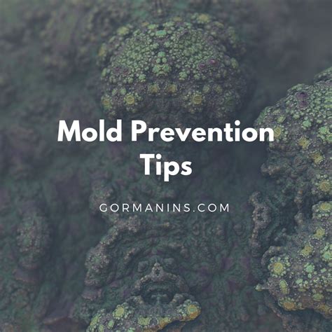 Mold Prevention Tips | Gorman Insurance