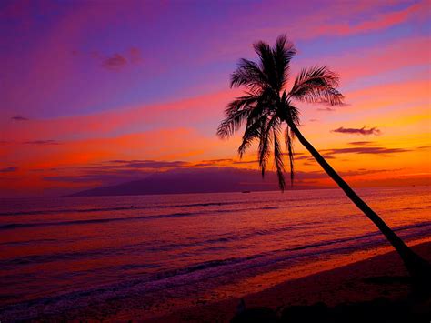 Hawaii Beaches Sunset Wallpaper